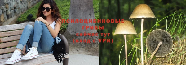 ГАЛЛЮЦИНОГЕННЫЕ ГРИБЫ Алексеевка