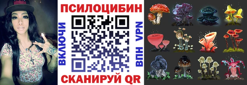 Галлюциногенные грибы ЛСД  shop состав  Вологда  купить наркотики цена 